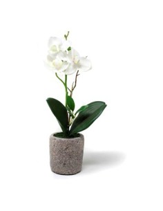 Maceta 30cm C/orquidea O7 Gal01