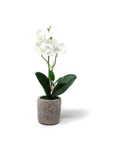 Maceta 30cm C/orquidea O7 Gal01