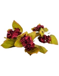 Vara 56cm Otonal Gf04 Gfl01