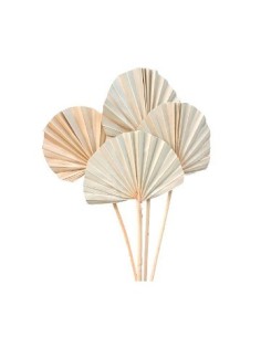 Hojas X10 Palma 50/60cm 49464/59463 Pel02