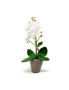 Maceta 38cm C/orquidea Blanca O11 Gal01 (m)