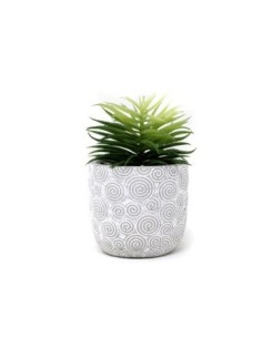 Maceta 8x13cm Cemento Labrado C/suculenta Cm21 Gal01