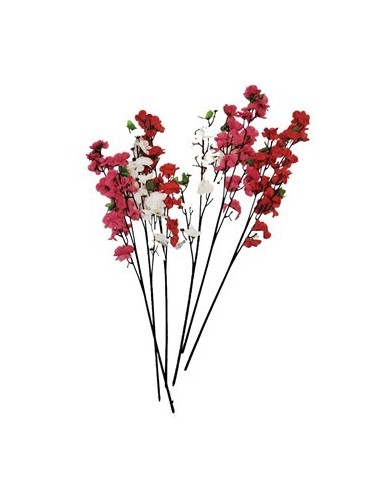 Vara 62cm Cerezo Yw-5620 Ori02