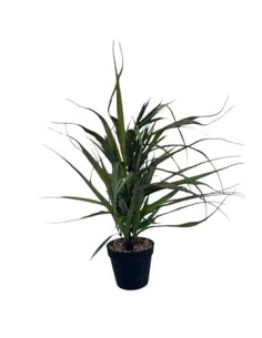 Planta Artificial C/maceta 12cm Rk2502063 Rec01