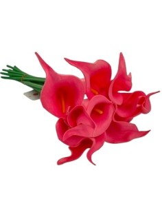 Ramo X10 Cala 35 Cm. 201025 Liv01