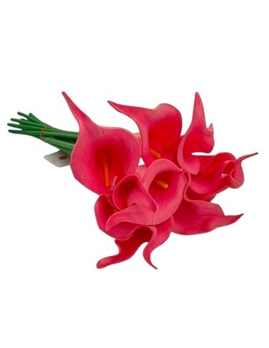 Ramo X10 Cala 35 Cm. 201025 Liv01