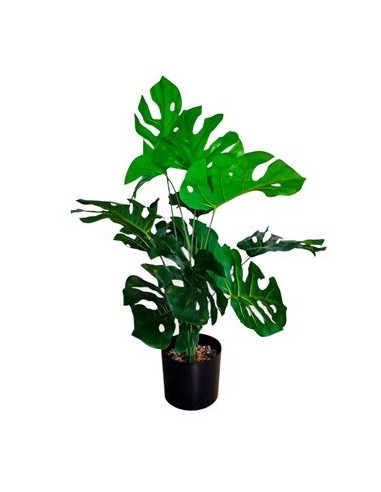 Maceta C/planta 65cm Piedras Monstera/palmera 25602445/25602444 Tal01