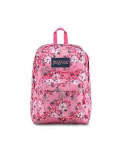 Mochila 17" U 1 Bolsillo Superbreak Jansport Js00t501 Wab02