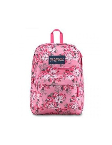 Mochila 17" U 1 Bolsillo Superbreak Jansport Js00t501 Wab02