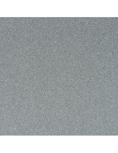 Cartulina Glitter Plata 50x35cm Rexon (b10)
