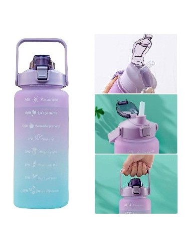 Botella 2lt Plast. Degrade C/manija Y Stickers Vsk01