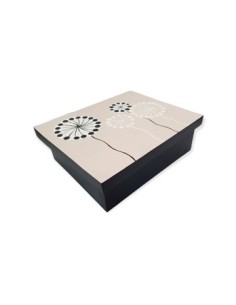 Caja P/te 23x28 Tapa Pintada Surt. Y Divisiones Internas Uni01