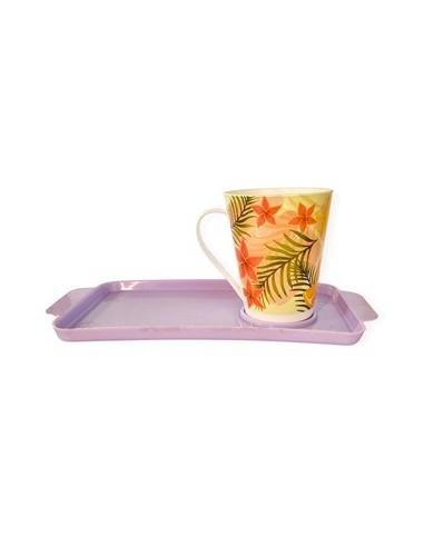 Set Bandeja + Taza Conica 400cc Plast. 4556 Dia01